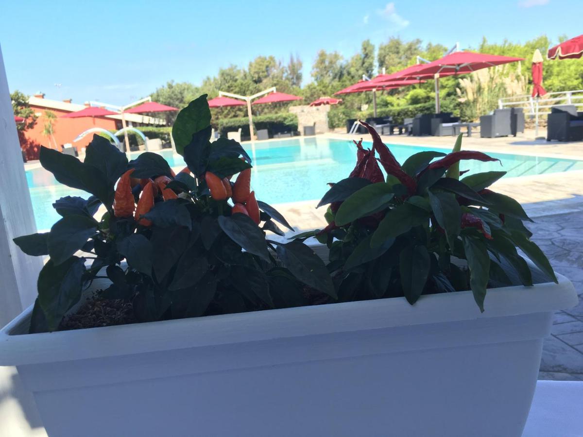 Hotel Club Esse Sporting Stintino Exterior foto